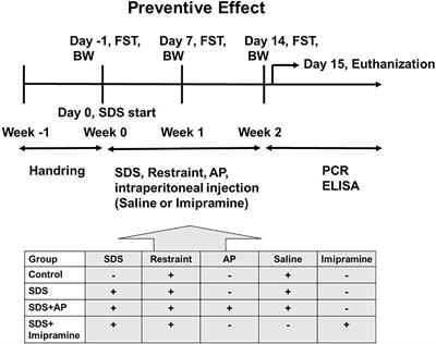 Acupuncture Treatment for Social Defeat Stress